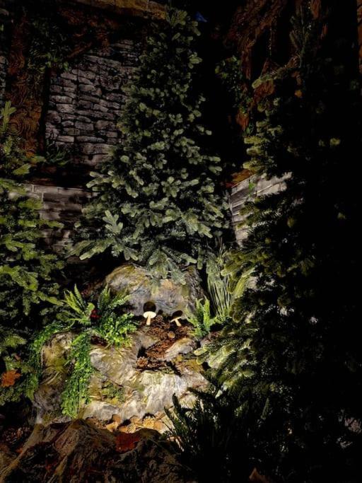 Le Enecy - Spa - Coeur Vieille Ville Annecy Zewnętrze zdjęcie
